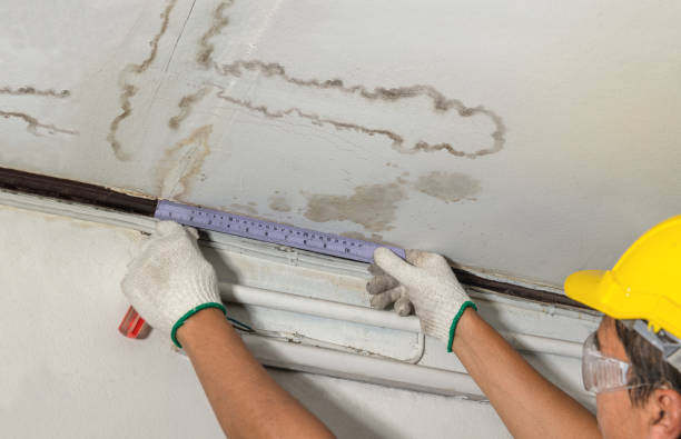 Reliable Mold Remediation contractor in Martin, MI by Water Damage Irwin
